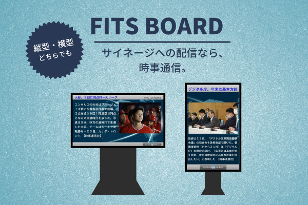 FITS BOARD